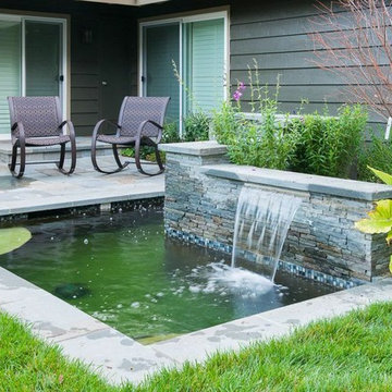 Saratoga Extreme Backyard Make over