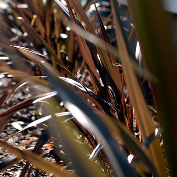 Apartment Building Landscape Design & Install