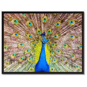 Peacock Bird Canvas Print, 22"x29"
