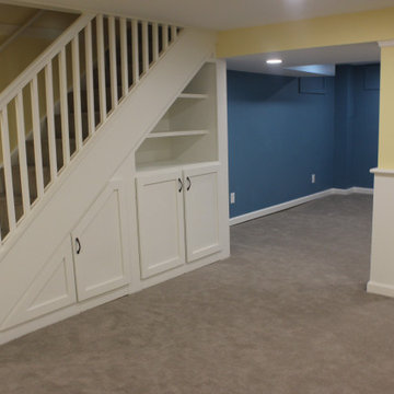 Basement Transformation