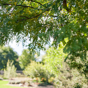Fall Visits Skyland Drive