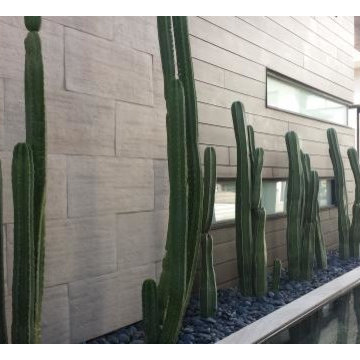 Modern Desert Projects