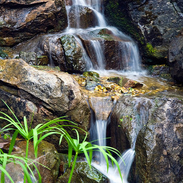 The waterfall garden