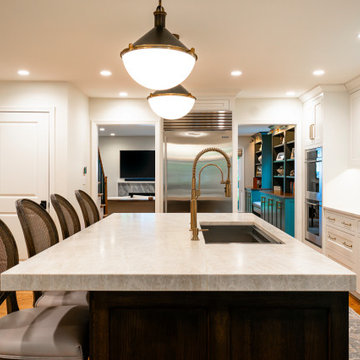 Mt. Prospect Project: Kitchen, Pantry, Bath & Living Room Built-ins