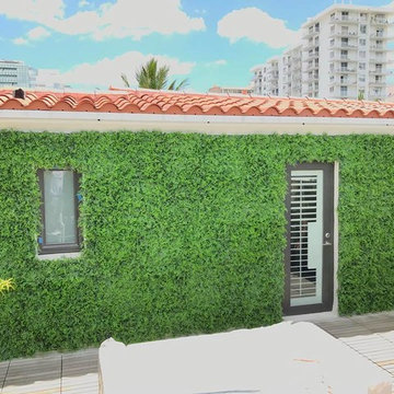 Fake Ivy Projects