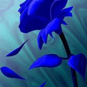 Lillian Absher's photo