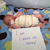 Diana Todd Heintz's photo
