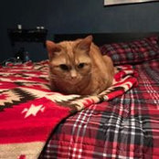Susan Spieler's photo