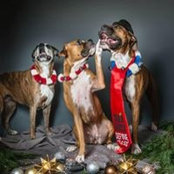Maryjean Howe's photo
