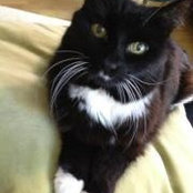 Cruz Wilson's photo
