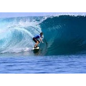 Kevin Kuzma's photo