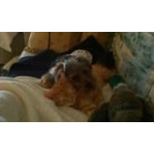 Kristy Meyer's photo
