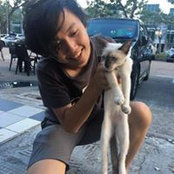 Tong Young ng's photo