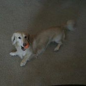 Jordan Schilling's photo