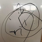Amanda Wisely's photo
