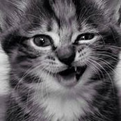 Tami Glenn's photo