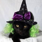 Sue McLean's photo