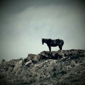 Colleen Phipps's photo