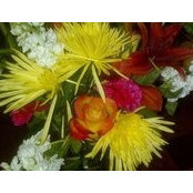 Nancy_Huss Kroeger's photo