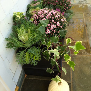 container gardens for autumn