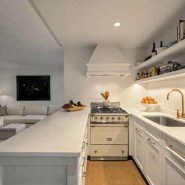 Luxury Penthouse Renovation