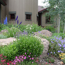 Mammoth Yard