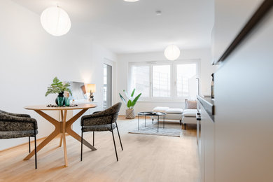 Kleines, Abgetrenntes Modernes Wohnzimmer mit weißer Wandfarbe und braunem Holzboden in Sonstige