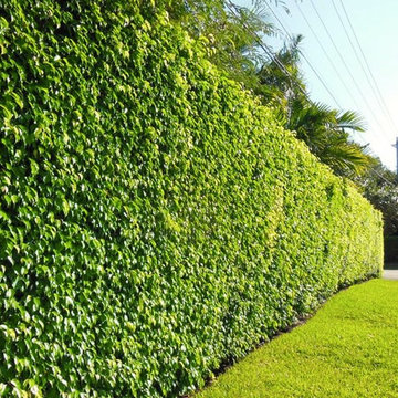 Fertilizer/Pest Control
