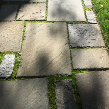 Historic Yard Restoration