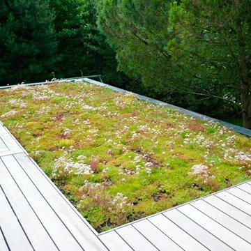 Toiture Terrasse accessible