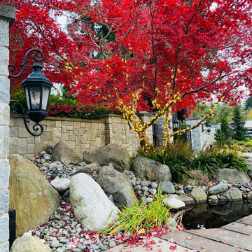 FALL is for COLOR
