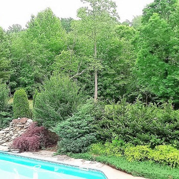 Trädgårdsvyer från North Carolina