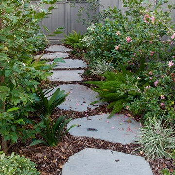 North facing shade garden filled with Nuncio's Camellias.