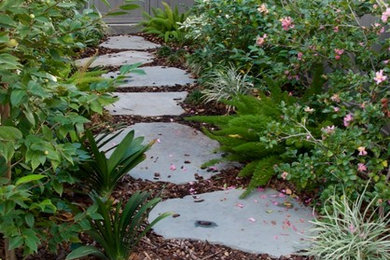 This is an example of a large side yard shaded xeriscape for spring in Los Angeles with a garden path and natural stone pavers.