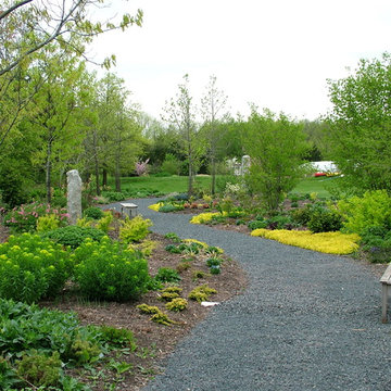 Deer Resistant Garden