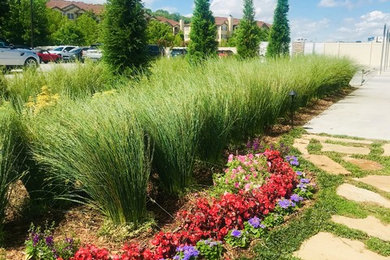 This is an example of a full sun stone landscaping.