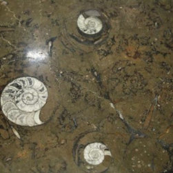 Fossil Brown Marble - Vanity Tops And Side Splashes