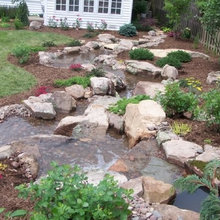 Landscape Front Yard