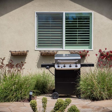 Backyard Circulation and Color