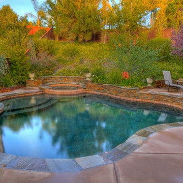 Hillside Pool - Carlsbad, Ca