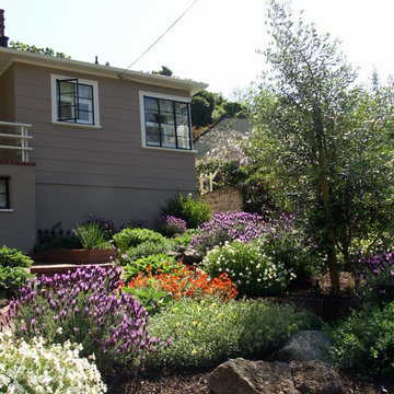Broadway Terrace Hillside