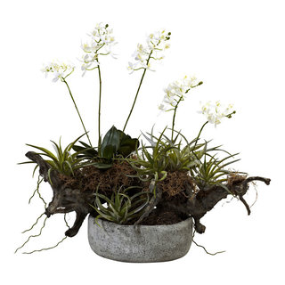 Orchid and Succulent Garden With Driftwood and Decorative Vase