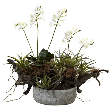Orchid and Succulent Garden With Driftwood and Decorative Vase, White and Green
