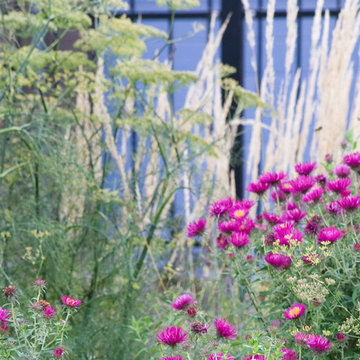 Beach garden in the middle of a new development