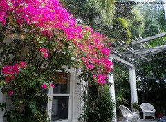 Complete Your Landscape with a Backyard Cottage