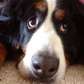 Jill Hilliker's photo