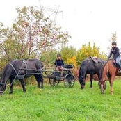 Sonya Dubeau's photo