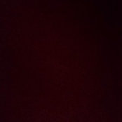 Davera Bluelys foto