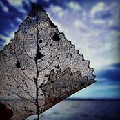 Emilie Knisley's photo