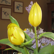 Doreen Griswold's photo